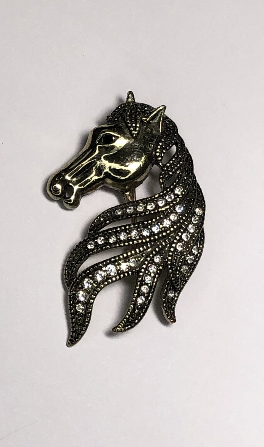 Dark bronze horse showing mane with diamante brooch at erika
